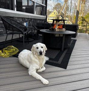 Pippa