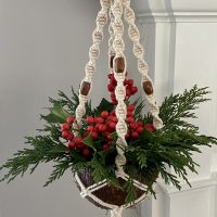 mini coconut plant hanger