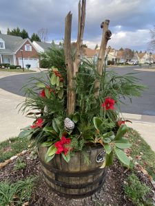 Stump Planter Stump Planter