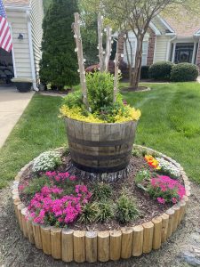 Stump Planter Stump Planter