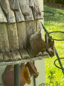 Dancing Wren Dancing Wren