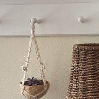 Mini Coconut Hanger