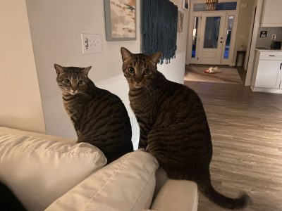 Georgi and Freddy