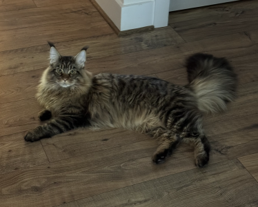 Stanley
